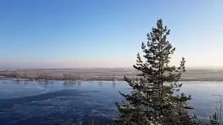 тест