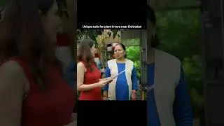 Most Unique cafe near Dehradun, Uttrakhand