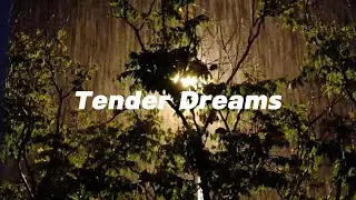 Tender Dreams (Soft Piano Instrumental)