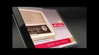 Jelena Mrkic - Ludi na smenu - (Audio 2006) - Radijski festival