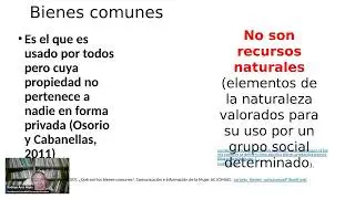 APROXIMACIONES ONTOL&Oacute;GICAS SOBRE LOS BOSQUES COMO BIENES COMUNES  con el Dr  Rodrigo Arce Rojas