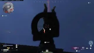 plunder bug