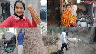 সুন্দরবনের প্রত্যন্ত গ্রামে বড়দিনে কি করলাম/সুন্দরবনের প্রত্যন্ত গ্রামে সারাদিন কাজ করে দিন চলে গেল