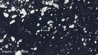 Zero Stats - Incredible