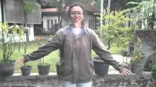 WADADAW ELECTRONIC ZIPPER