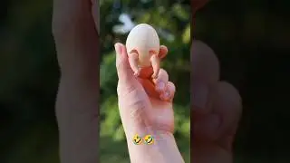 ohh my god #samriddhi is 🥚🍳#viral #biutifull#funny #entertainment #love