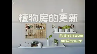 植物房改造计划 Ikea置物架的安装 滑雪博主前来客串 | PLANT ROOM MAKEOVER