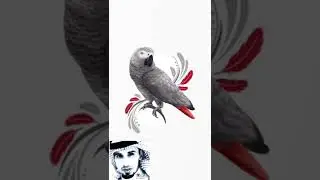 نوبة الصرع في الببغاء و التشنجات الاسباب والحلول
