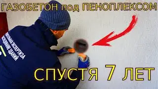 Вскрыли ПЕНОПЛЕКС через 7 лет! Что с ГАЗОБЕТОНОМ в 2024 г.???