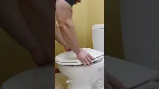 How to Change a Toilet Seat | Roto-Rooter