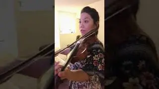 Funky town - Viol&iacute;n