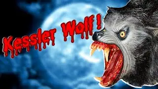 We Bought Joe Rogan's Wolf!!! [Kessler Wolf] [AWIL]
