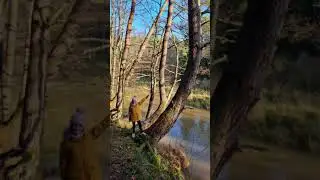 Latvia, Europe: Nature Trail in the Forest where the River Flows - 