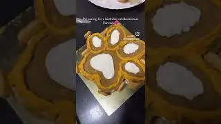 Preparing for a birthday at FURENDS🤍 #pets #petcafe #petstudio #doglover #dog