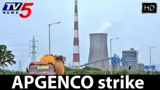 AP Transco And APGENCO Employees strike   TV5