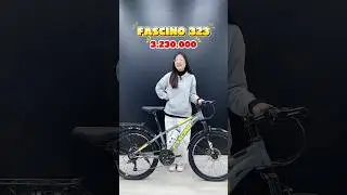 Xe đạp địa h&igrave;nh Fascino 323 - Người bạn đồng h&agrave;nh l&iacute; tưởng cho học sinh tới trường #fascino323 #f323