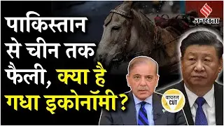 Pakistan Donkey Export China ज़रूर देखें | Operation Sindoor| PM Modi | Indian Army