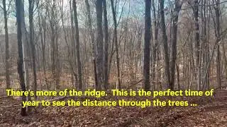 ATV ride in the Southern Ontario, Canada forest with chill music and captions.