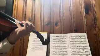 The Amazing Digital Circus - Your New Home (End Theme) - Violin Cover (REUPLOAD)