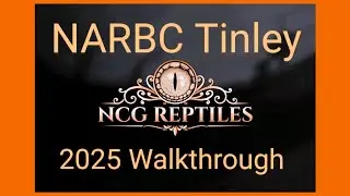NARBC Tinley 2025 Reptile Expo!