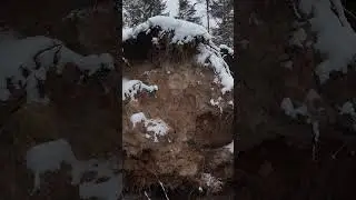 Offtrail Walk Through Deep Winter Forest