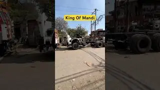 Best truck for Mandi #joshriders #tatamotors #tatatruck