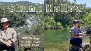 Hiking in El Dorado Hills (Skunk Hollow via American River Trail)