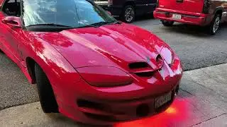 WS6 Trans am #firebird