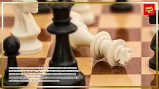 How to Use Game Theory to Understand Animal Social Structures
