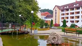 Закарпатье. Прогулка по лесу возле санатория Квітка Полонини.  