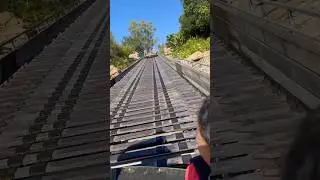 River rapids ride #animalkingdom #disney #shorts #shortvideo #viral #travel #trending #rides #fun