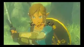 Rise Link and Zelda edit #legendofzelda #link #zelda #linkedit #zeldaedit