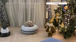 А у нас мороз