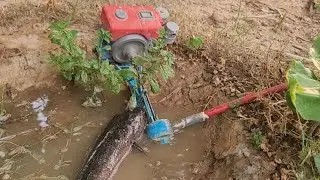 How to catch Big fish 🐟 using mini water pump science project