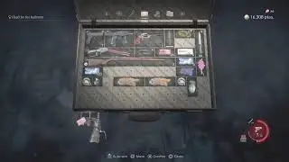 RE4 Remake professional