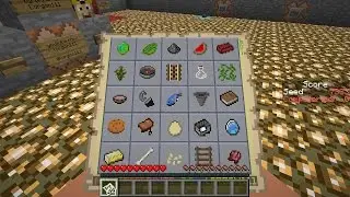 Don't Get Lost - Minecraft BINGO 25-Minute Challenge Seed 7333