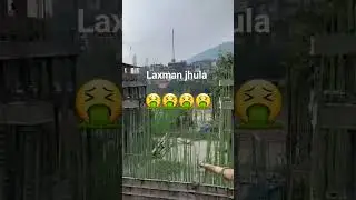 laxman jhula 😘😘😘 #shorts  #Rishikesh #laxmanjhula
