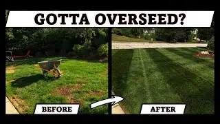 Use This When Overseeding, The Results Are Undeniable.