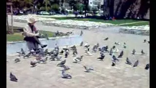 aggelos kai pavlos kinigito me ta poulia