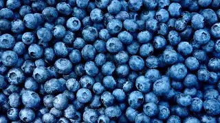 Blueberry trade: Berry industry heads form a coalition to address high demand and trade concerns