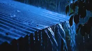 Moonlit Rain Whispers: Cozy ASMR Night Sounds for Anxiety Relief and Sweet to Gentle Night Rain