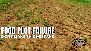CGTV - I Made a Costly Planting Mistake &mdash; Here&rsquo;s What It Taught Me About Seed Quality