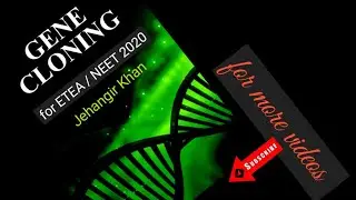 Gene cloning in urdu/ cloning of Gene in Hindi / genetic engineering in urdu / mdcat gene cloning