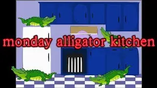 monday alligator kitchen
