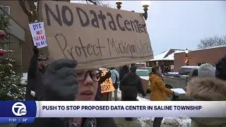 Protesters in downtown Saline fight against nearby planned data center
