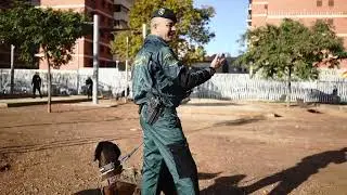 Servicio cinol&oacute;gico de la Guardia Civil de Baleares