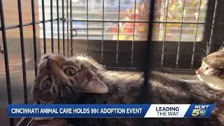 Cincinnati Animal CARE extends 99&cent; adoption event through the weekend