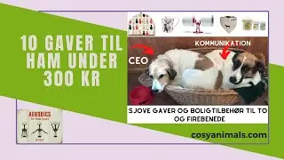 10 julegaver til ham under 300 kr. | Cosy Animals | Gaver og boligindretning