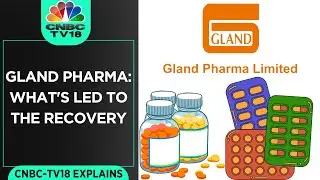 Decoding Recovery Of Gland Pharma After A Long Period Of Volatility | CNBC TV18