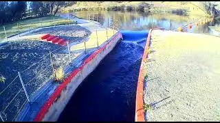 Comal river dive- New Braunfels